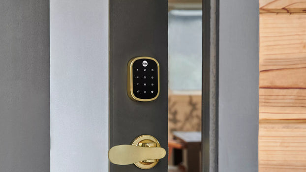 assure smart lock + navis paddle on open door