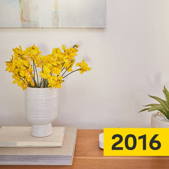 2016 flowers in a vase